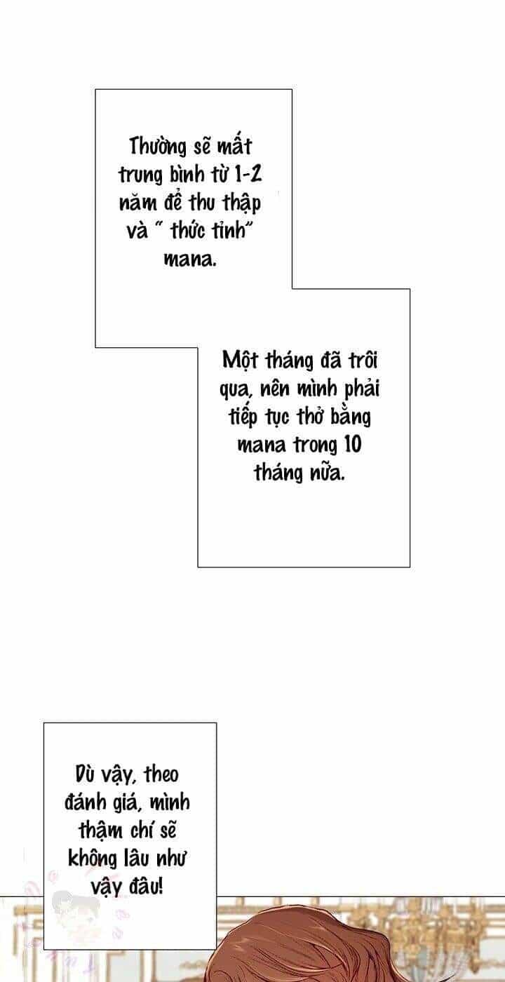 Trở Thành Tiểu Thư Xấu Xí - Chương 4 - ảnh 16