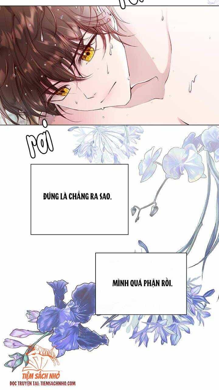 Trở Thành Tiểu Thư Xấu Xí - Chương 71 - ảnh 6