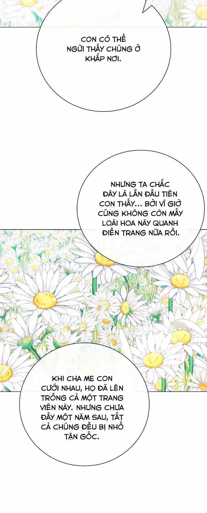 Trở Thành Tiểu Thư Xấu Xí - Chương 95 - ảnh 39