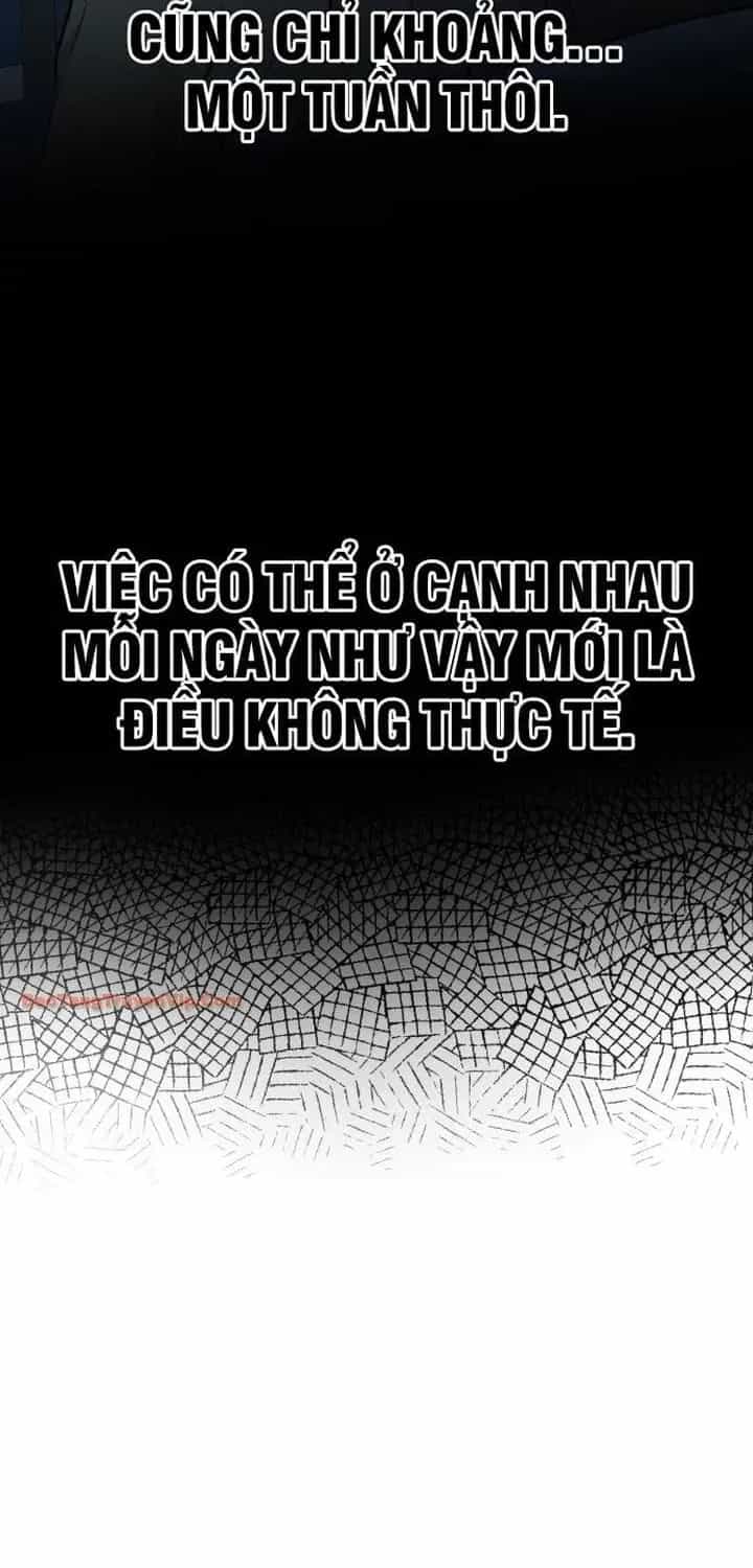 Trở Về Bên Chanbi - Chương 96 - ảnh 32