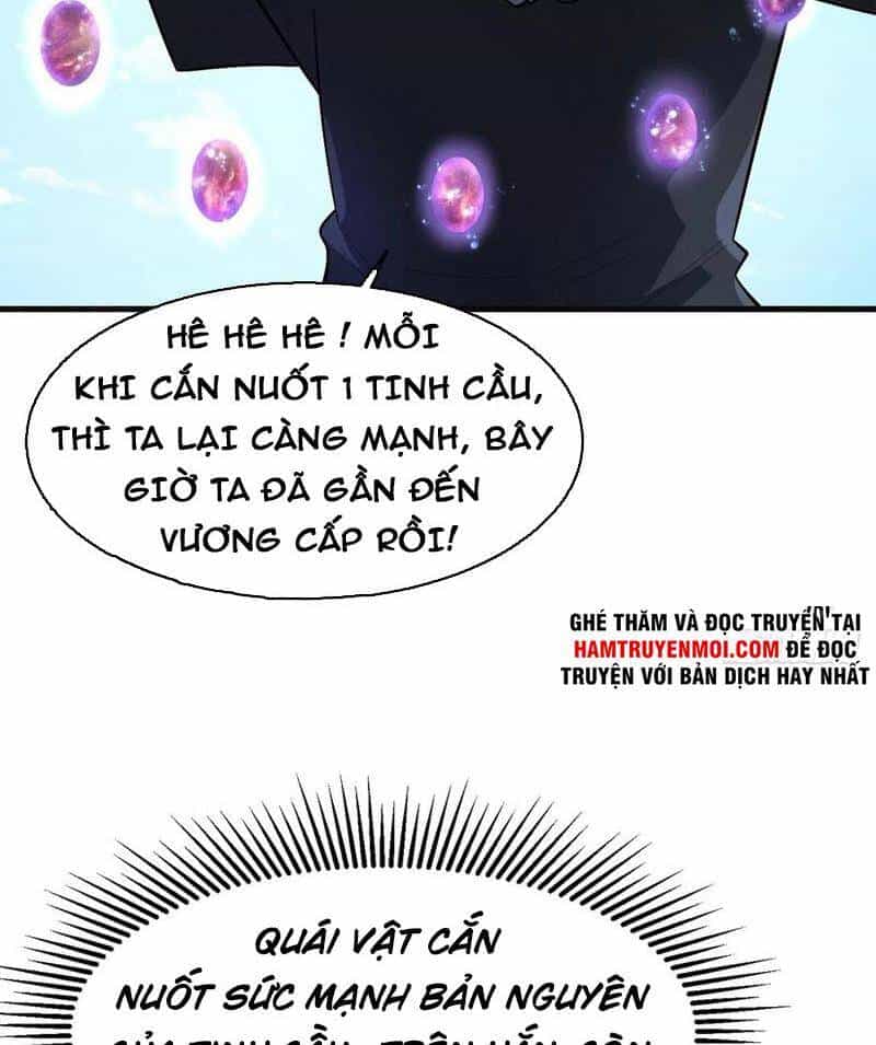 Trở Về Làm Đại Lão Thời Mạt Thế - Chương 244 - ảnh 22