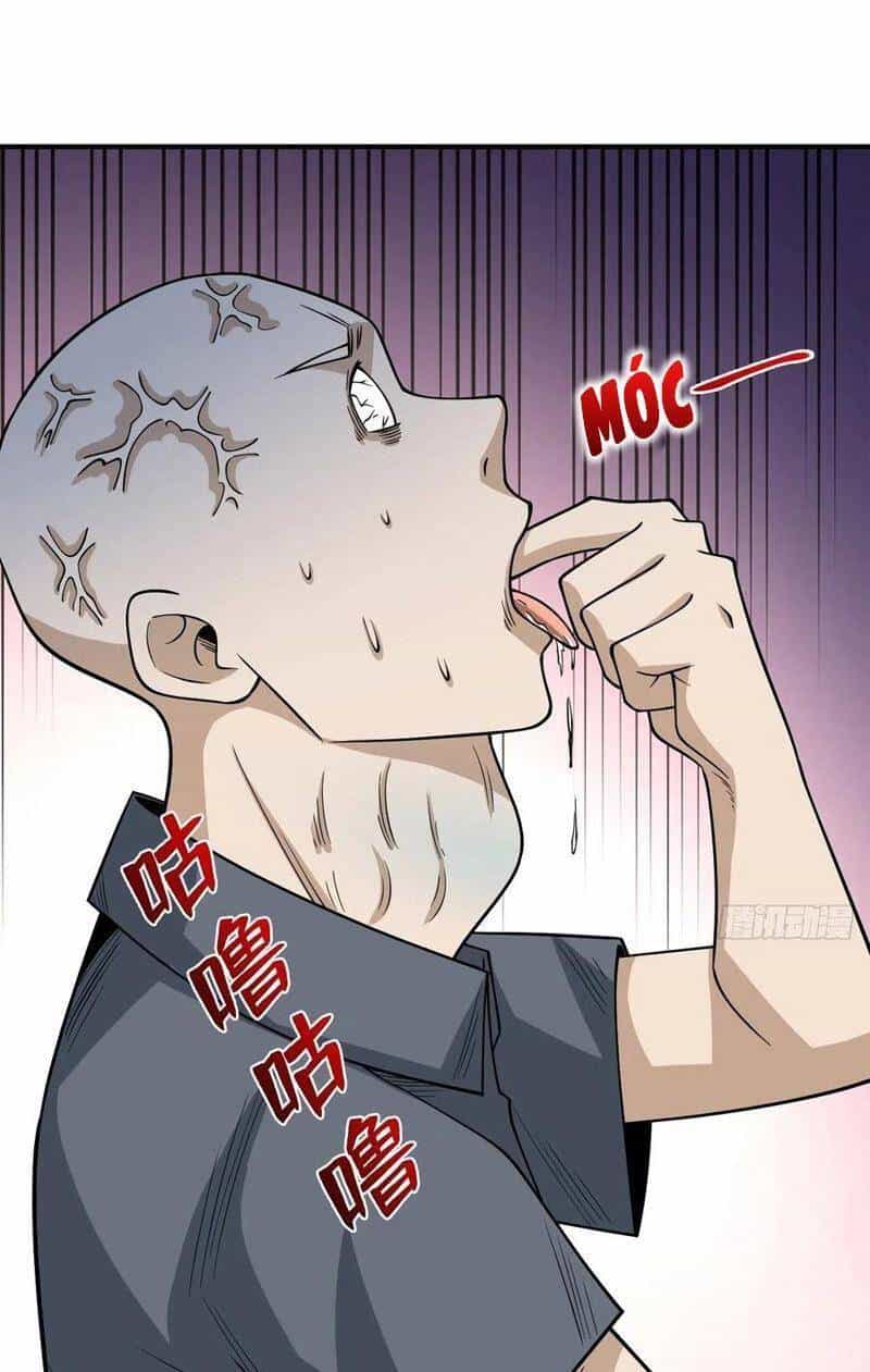 Trở Về Làm Đại Lão Thời Mạt Thế - Chương 253 - ảnh 16