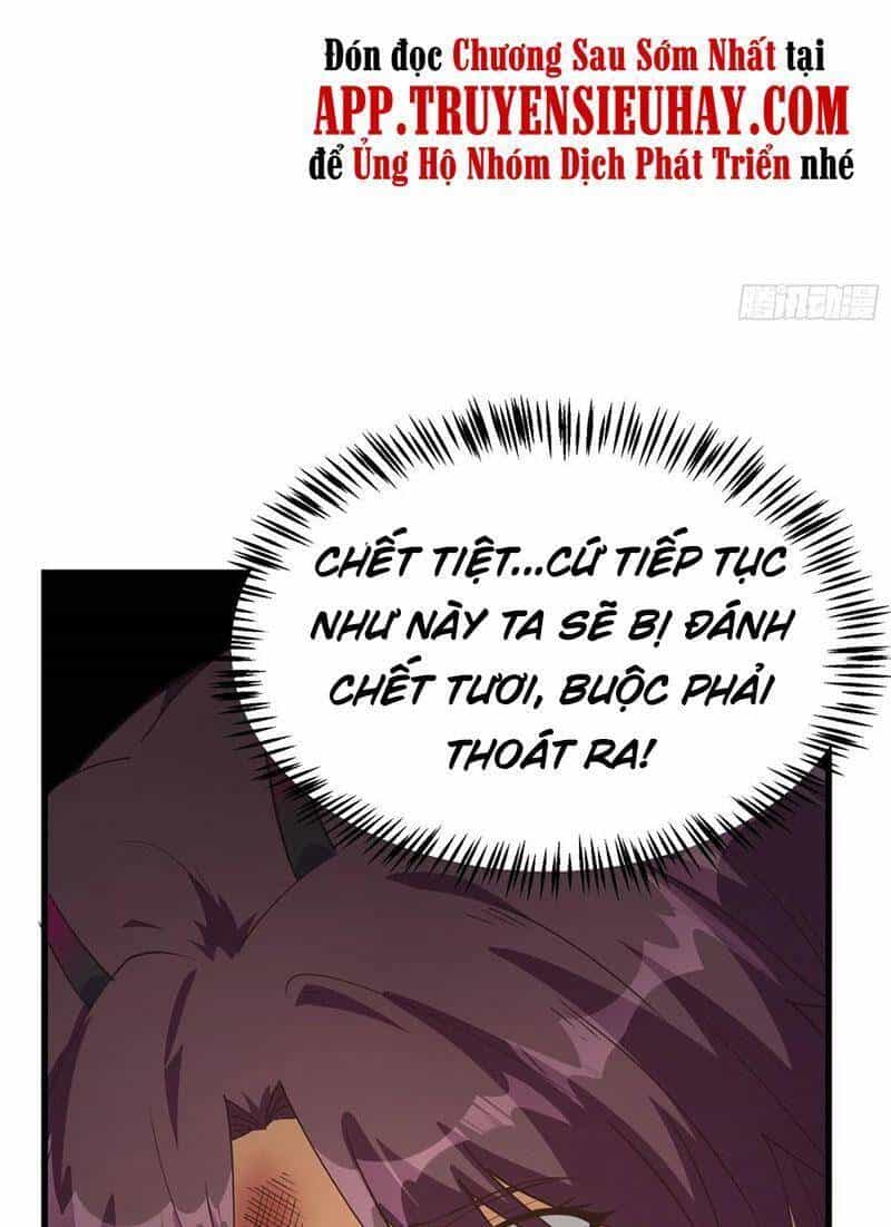 Trở Về Làm Đại Lão Thời Mạt Thế - Chương 276 - ảnh 17