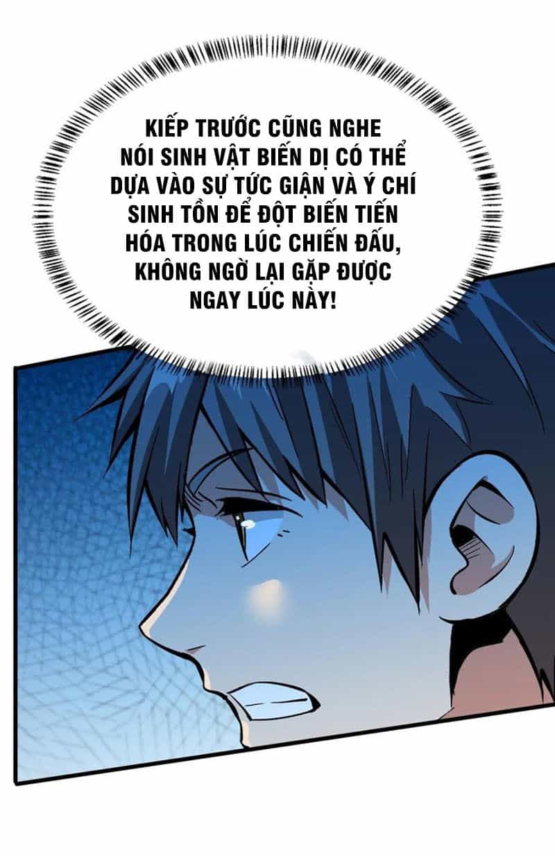 Trở Về Làm Đại Lão Thời Mạt Thế - Chương 49 - ảnh 15