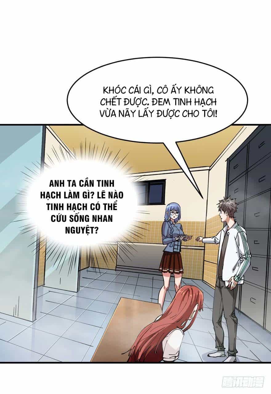 Trở Về Làm Đại Lão Thời Mạt Thế - Chương 7 - ảnh 9