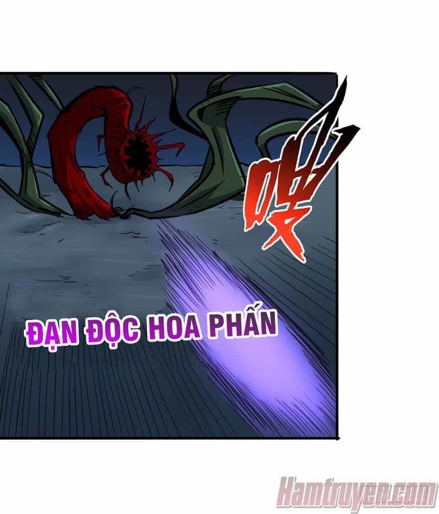 Trở Về Làm Đại Lão Thời Mạt Thế - Chương 8 - ảnh 19