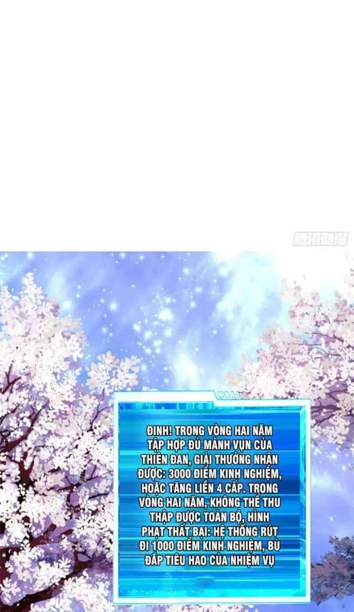 Trời Má ! Ta Chuyển Sinh Thành Rùa ! - Chương 25 - ảnh 23