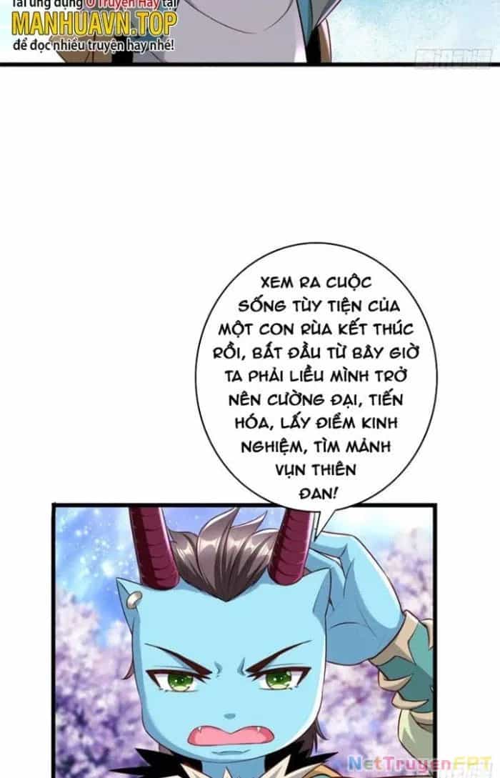 Trời Má ! Ta Chuyển Sinh Thành Rùa ! - Chương 25 - ảnh 26
