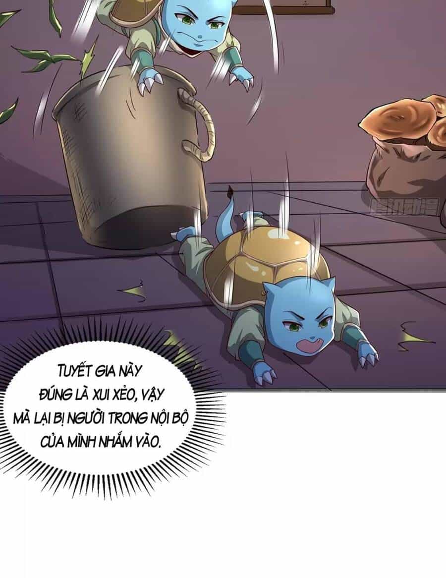 Trời Má ! Ta Chuyển Sinh Thành Rùa ! - Chương 2 - ảnh 11
