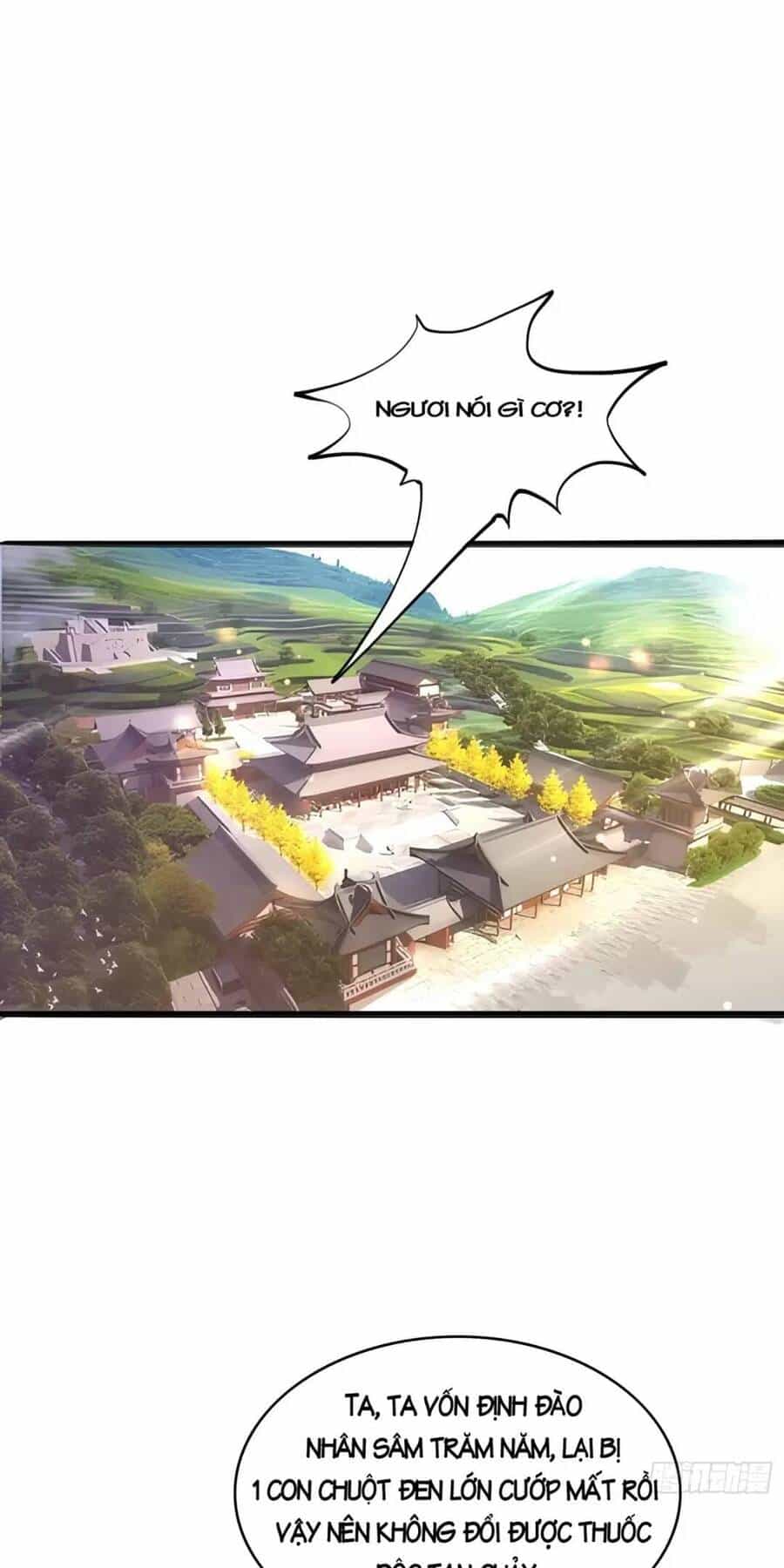 Trời Má ! Ta Chuyển Sinh Thành Rùa ! - Chương 2 - ảnh 3