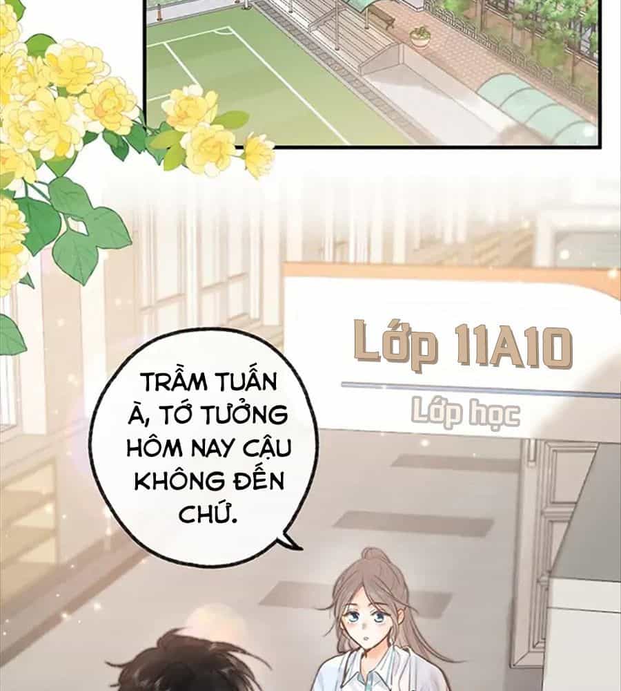 Trong Giấc Mộng Của Tôi - Chương 18 - ảnh 39