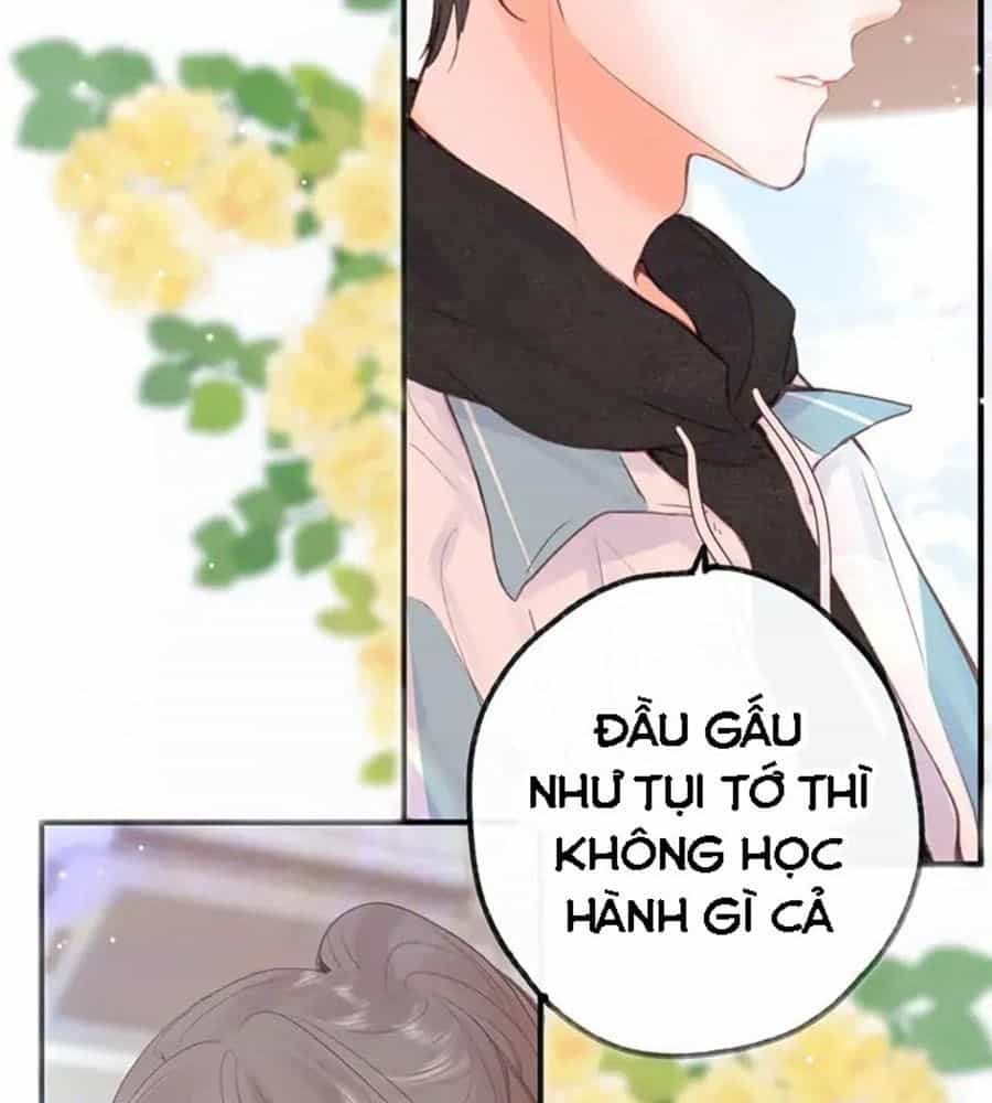 Trong Giấc Mộng Của Tôi - Chương 20 - ảnh 52