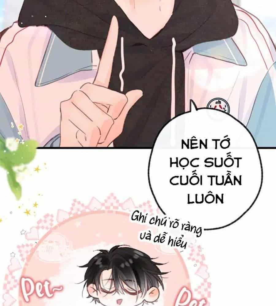 Trong Giấc Mộng Của Tôi - Chương 20 - ảnh 58