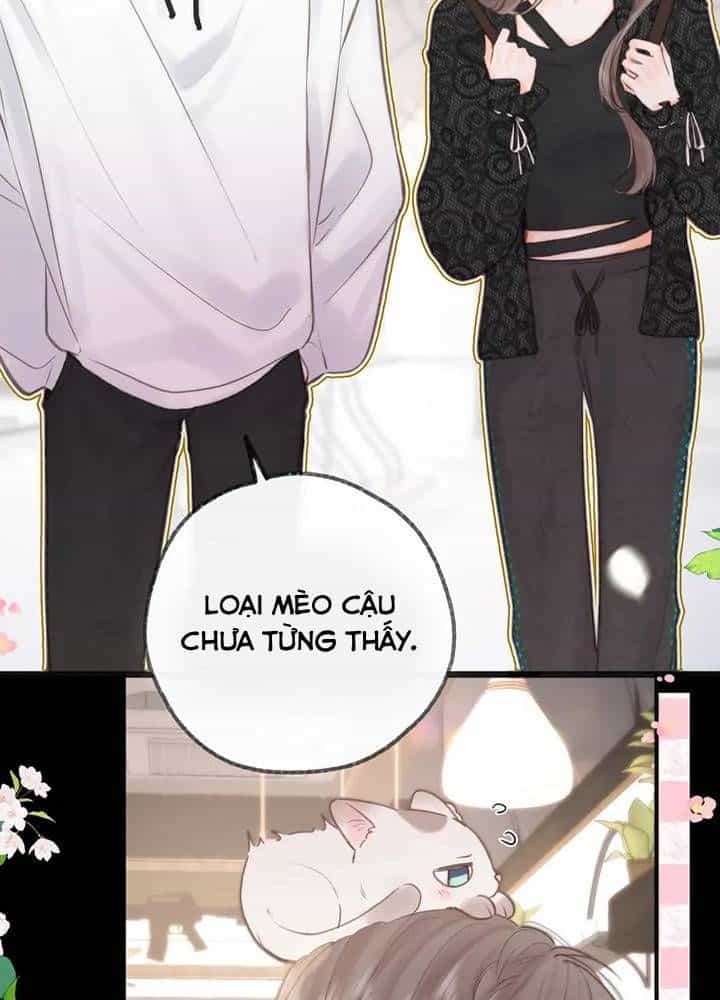 Trong Giấc Mộng Của Tôi - Chương 27 - ảnh 45