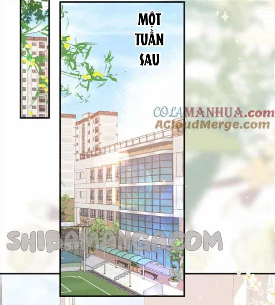 Trong Giấc Mộng Của Tôi - Chương 30 - ảnh 43