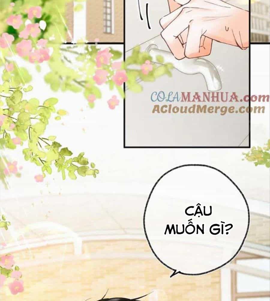 Trong Giấc Mộng Của Tôi - Chương 33 - ảnh 2