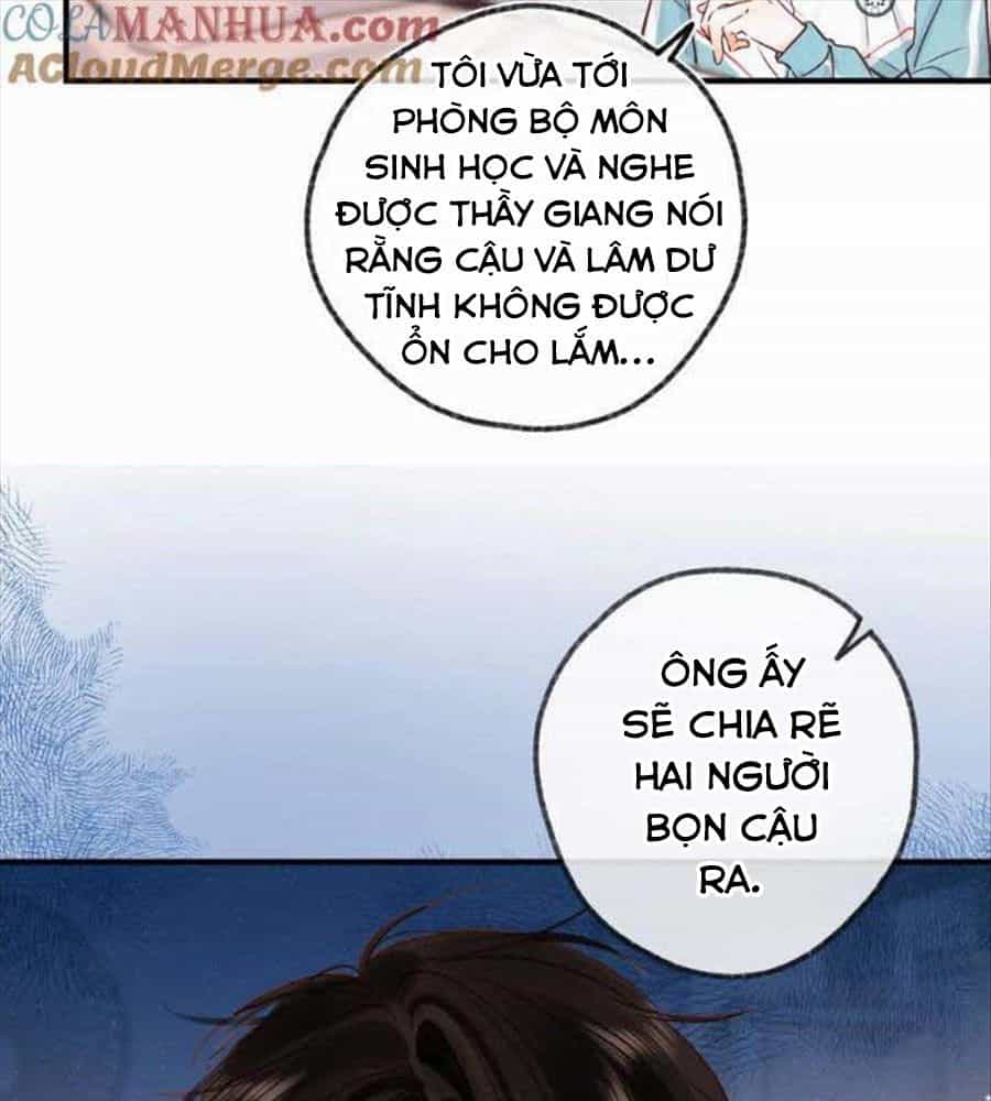 Trong Giấc Mộng Của Tôi - Chương 33 - ảnh 21