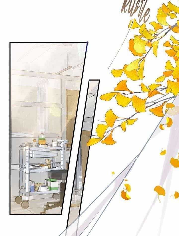 Trong Giấc Mộng Của Tôi - Chương 43 - ảnh 4