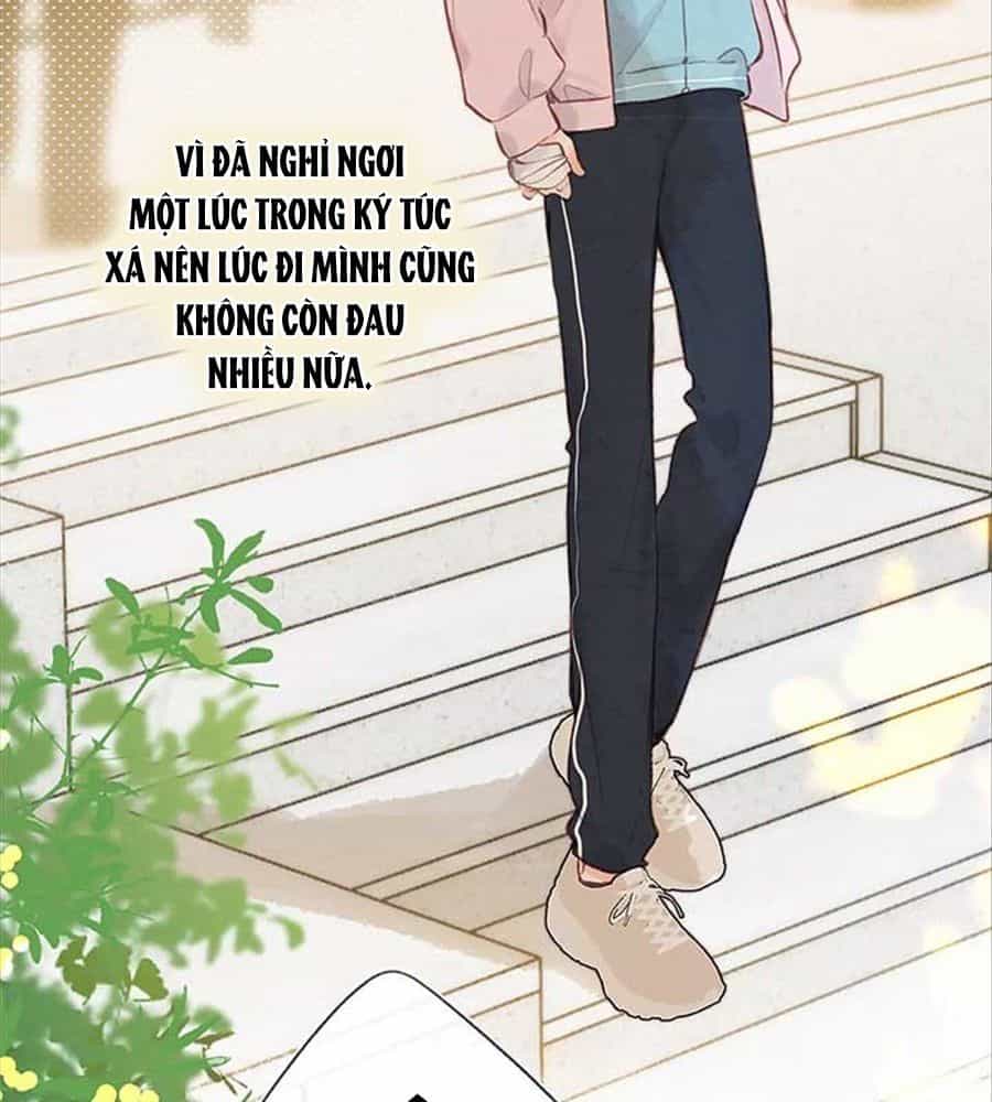 Trong Giấc Mộng Của Tôi - Chương 44 - ảnh 3