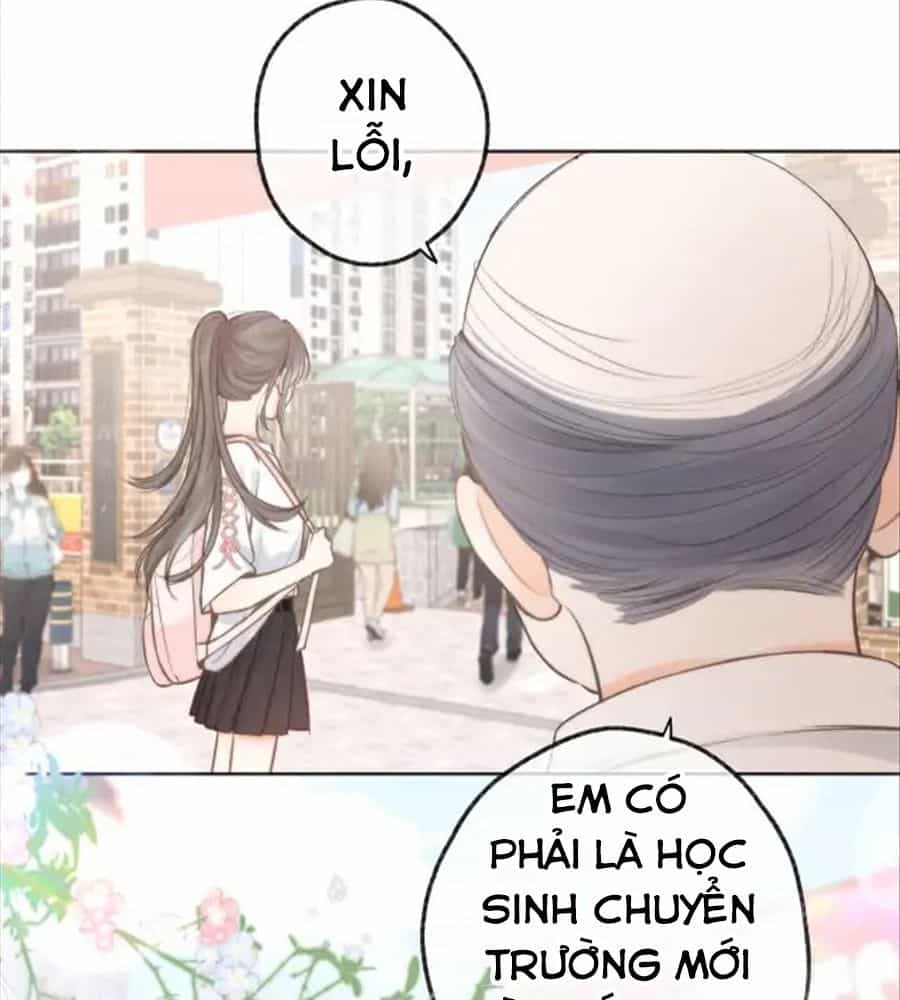 Trong Giấc Mộng Của Tôi - Chương 6 - ảnh 12