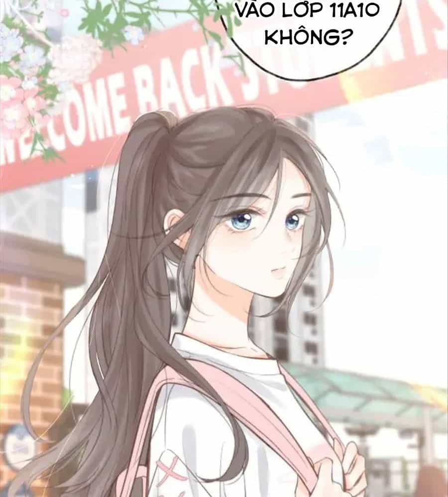 Trong Giấc Mộng Của Tôi - Chương 6 - ảnh 13