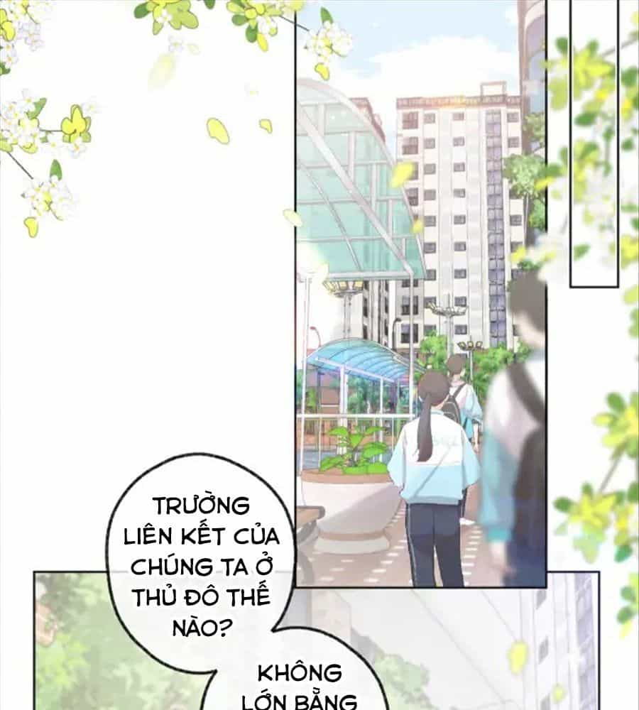 Trong Giấc Mộng Của Tôi - Chương 6 - ảnh 17
