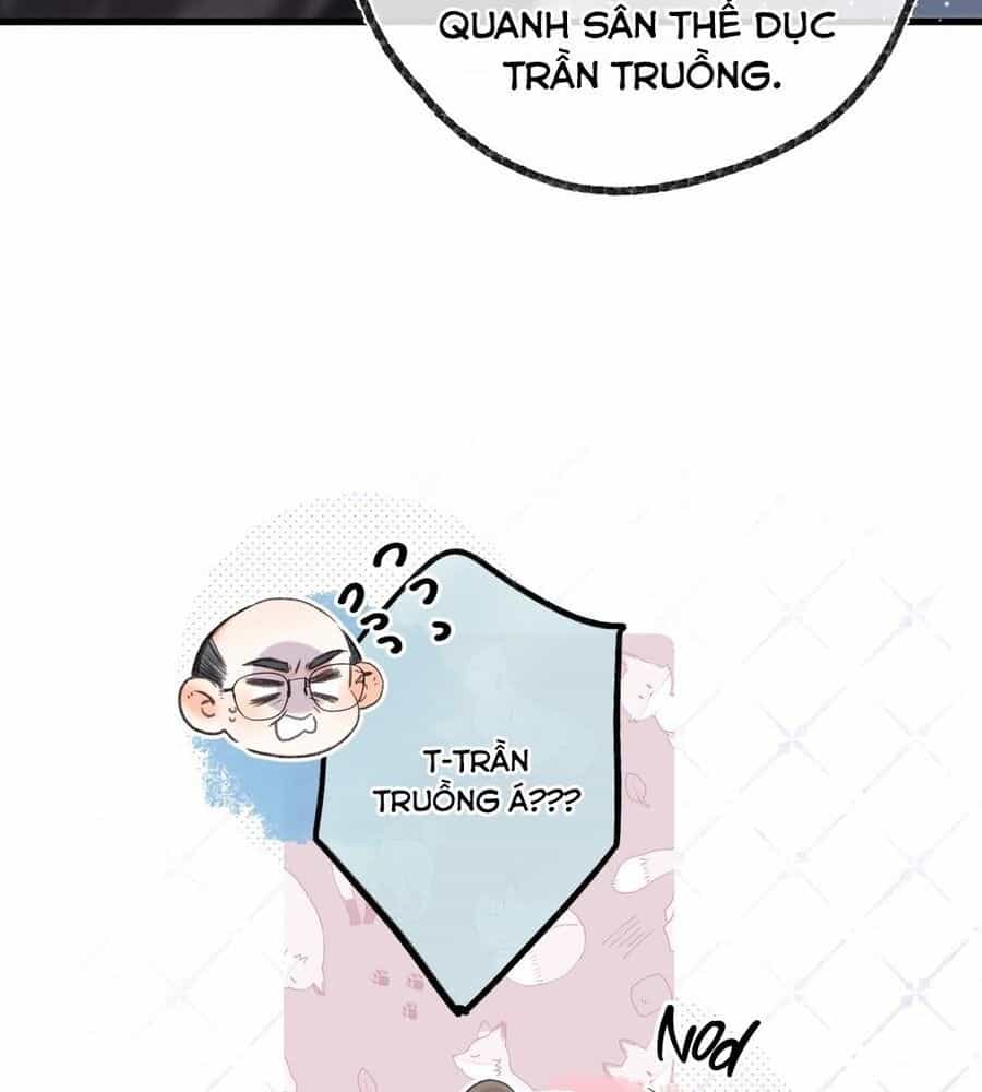 Trong Giấc Mộng Của Tôi - Chương 68 - ảnh 21