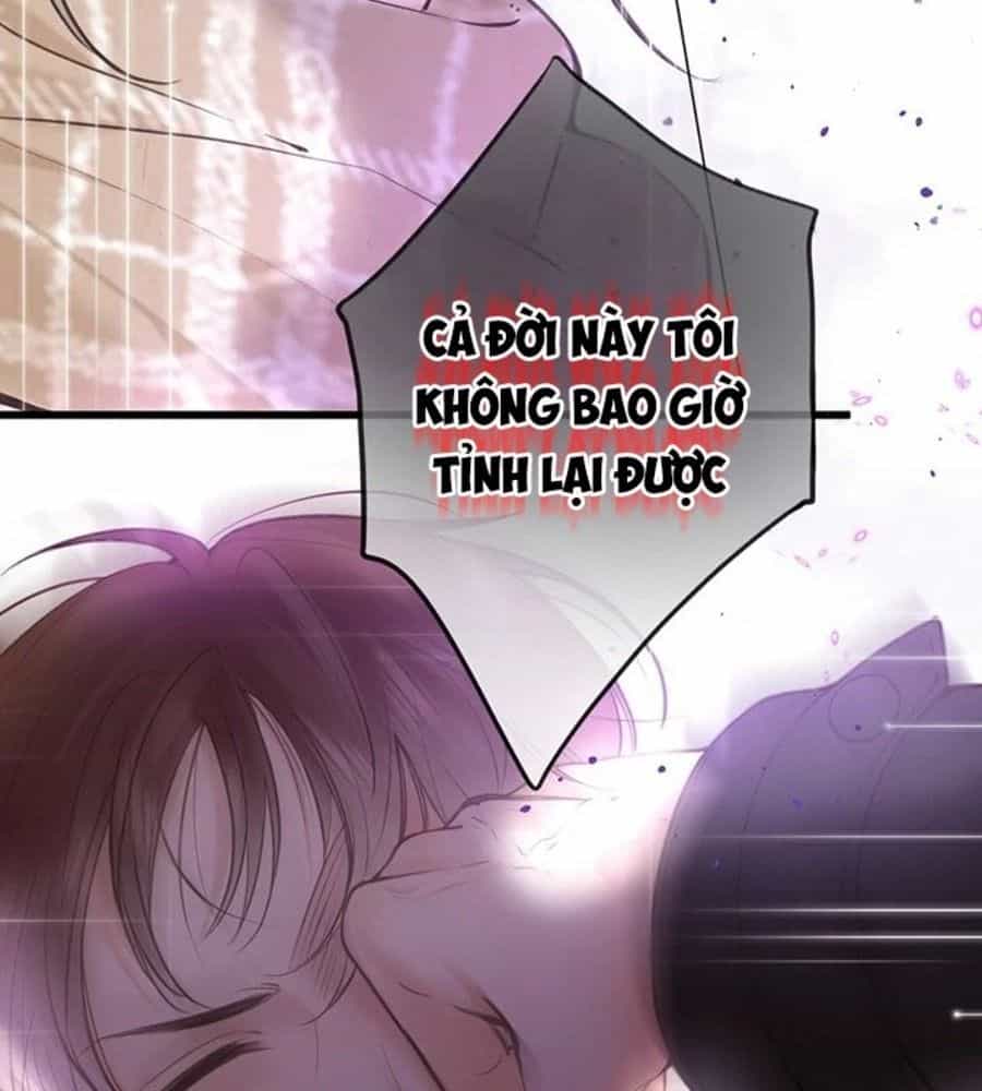 Trong Giấc Mộng Của Tôi - Chương 71 - ảnh 48