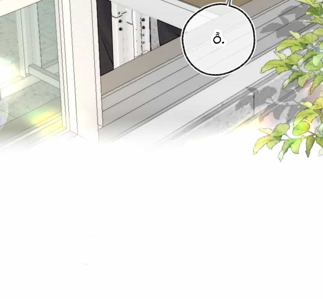 Trong Giấc Mộng Của Tôi - Chương 80 - ảnh 28