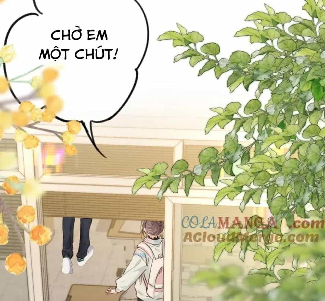 Trong Giấc Mộng Của Tôi - Chương 82 - ảnh 12
