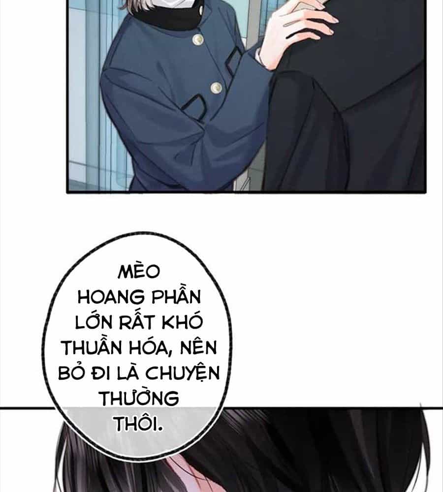 Trong Giấc Mộng Của Tôi - Chương 87 - ảnh 52