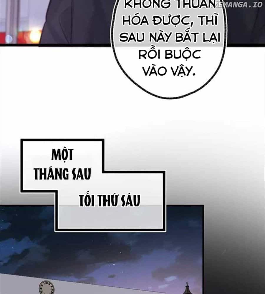 Trong Giấc Mộng Của Tôi - Chương 87 - ảnh 55