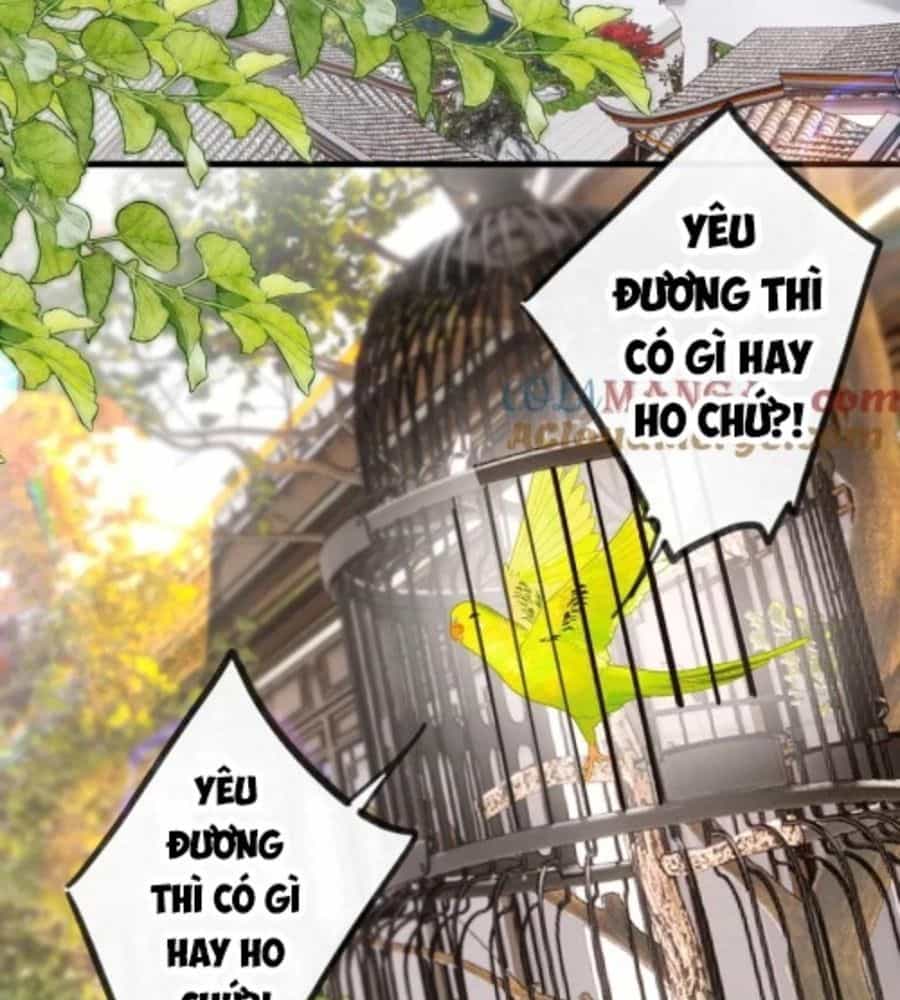 Trong Giấc Mộng Của Tôi - Chương 91 - ảnh 5