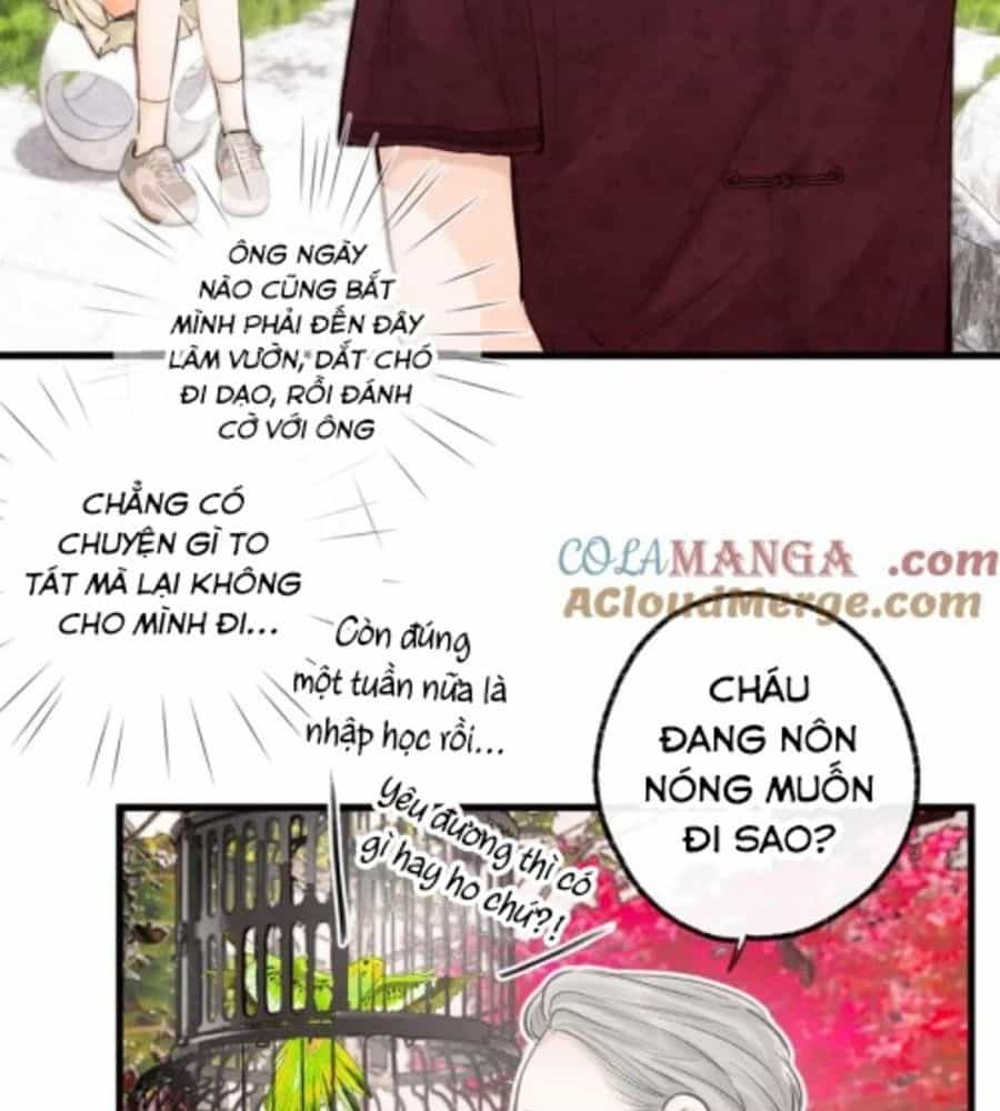 Trong Giấc Mộng Của Tôi - Chương 91 - ảnh 7
