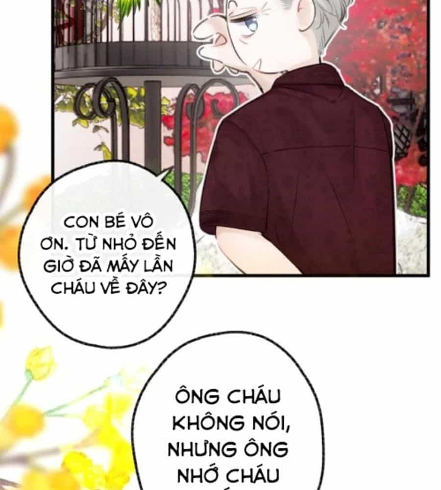 Trong Giấc Mộng Của Tôi - Chương 91 - ảnh 8