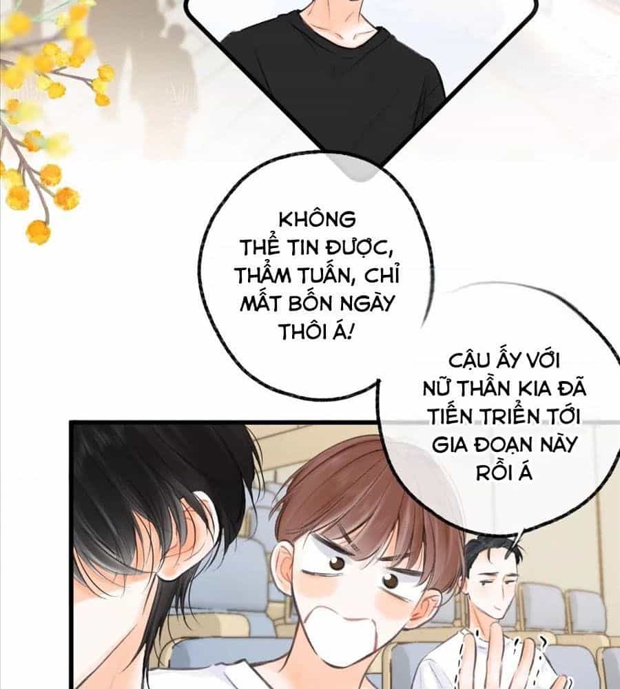 Trong Giấc Mộng Của Tôi - Chương 95 - ảnh 13