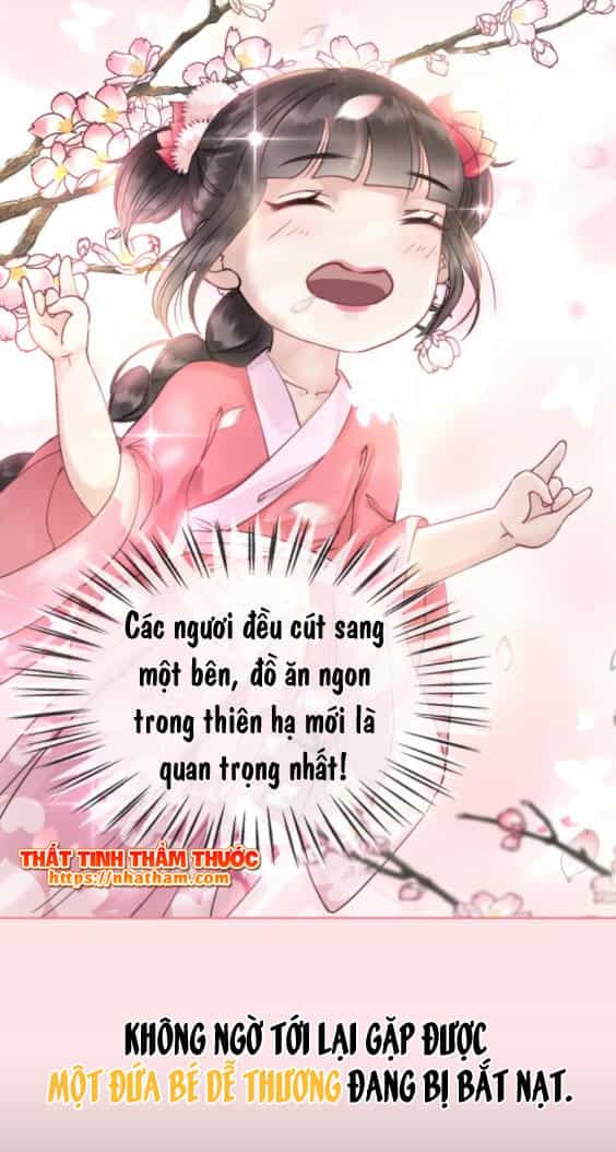 Trọng Sinh Bá Sủng Nhiếp Chính Vương Quá Mạnh Mẽ - Chương 0 - ảnh 14