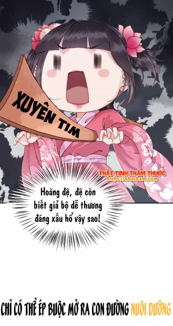 Trọng Sinh Bá Sủng Nhiếp Chính Vương Quá Mạnh Mẽ - Chương 0 - ảnh 22