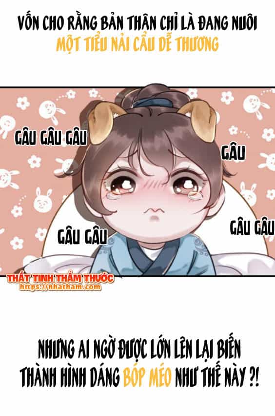 Trọng Sinh Bá Sủng Nhiếp Chính Vương Quá Mạnh Mẽ - Chương 0 - ảnh 25