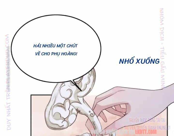 Trọng Sinh Bá Sủng Nhiếp Chính Vương Quá Mạnh Mẽ - Chương 204 - ảnh 12