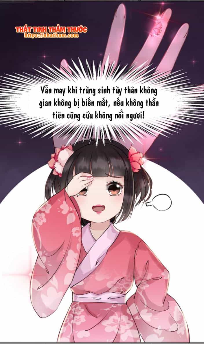 Trọng Sinh Bá Sủng Nhiếp Chính Vương Quá Mạnh Mẽ - Chương 2 - ảnh 21