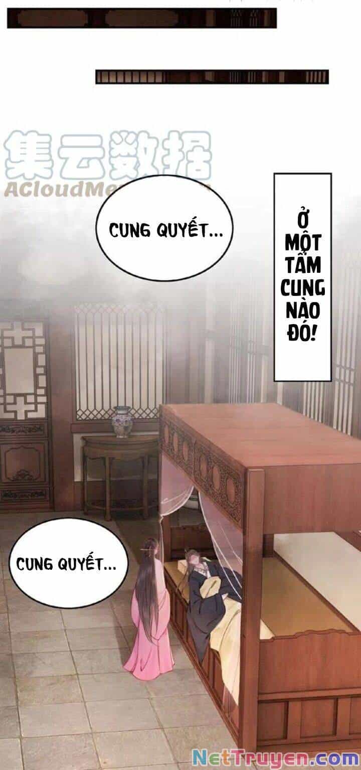 Trọng Sinh Bá Sủng Nhiếp Chính Vương Quá Mạnh Mẽ - Chương 67 - ảnh 34
