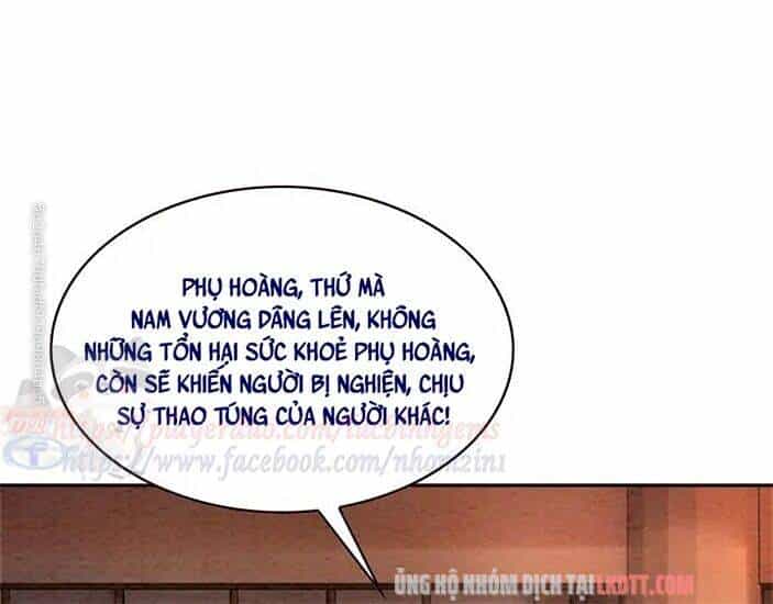 Trọng Sinh Bá Sủng Nhiếp Chính Vương Quá Mạnh Mẽ - Chương 82.2 - ảnh 13