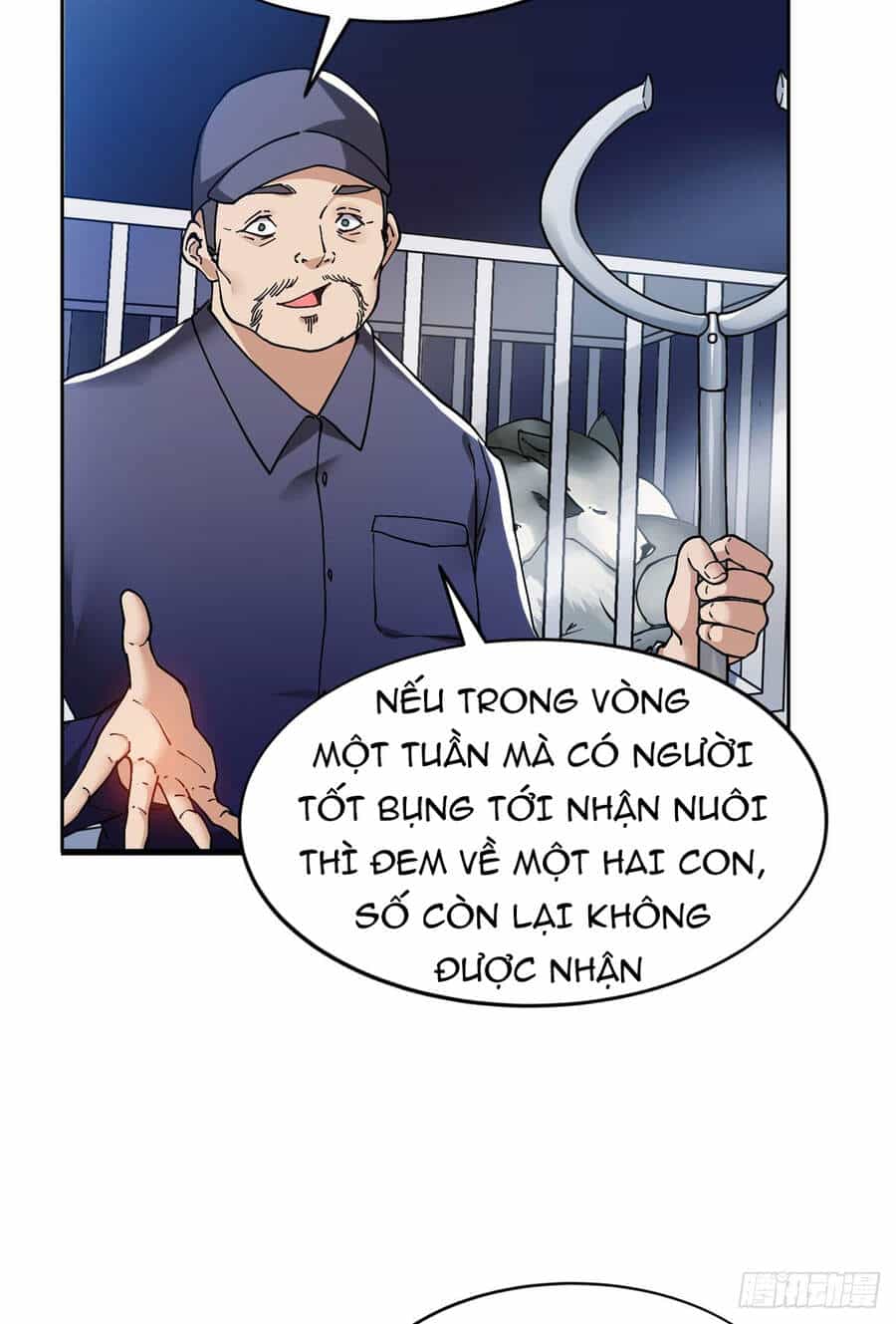 Trọng Sinh Chi Thần Cấp Bại Gia Tử - Chương 13 - ảnh 15