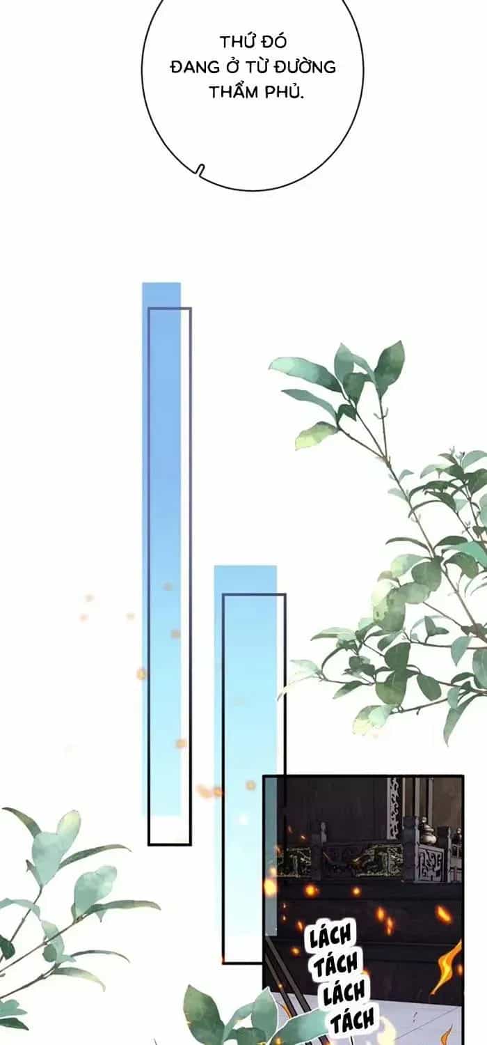Trọng Sinh Chi Tướng Môn Độc Hậu - Chương 35 - ảnh 19