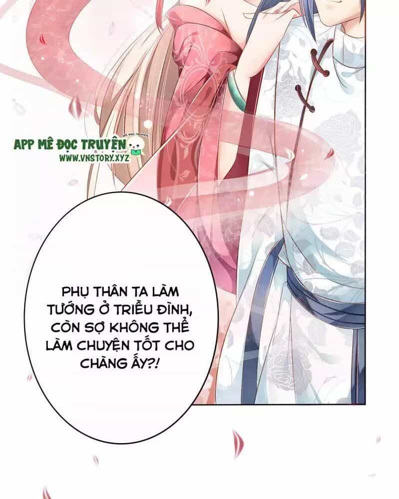Trọng Sinh Đế Phi: Quyền Khuynh Thiên Hạ - Chương 1 - ảnh 13