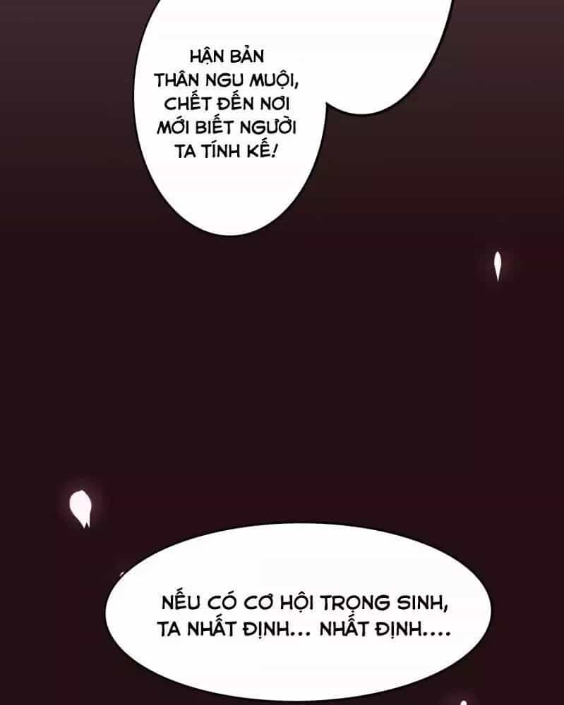 Trọng Sinh Đế Phi: Quyền Khuynh Thiên Hạ - Chương 1 - ảnh 23