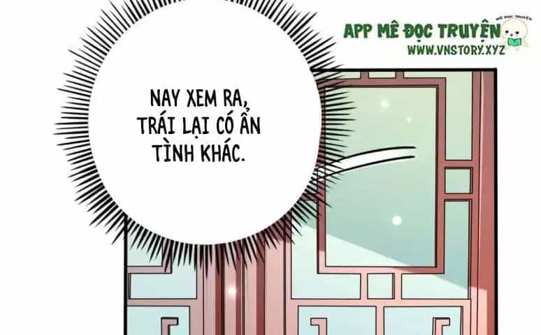 Trọng Sinh Đế Phi: Quyền Khuynh Thiên Hạ - Chương 10 - ảnh 12
