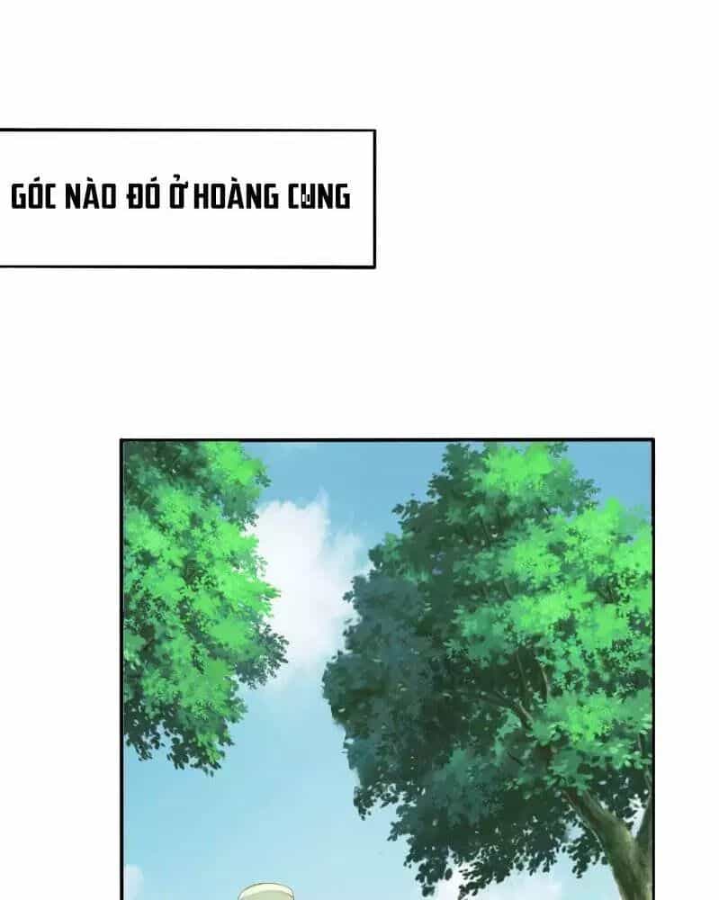 Trọng Sinh Đế Phi: Quyền Khuynh Thiên Hạ - Chương 2 - ảnh 17