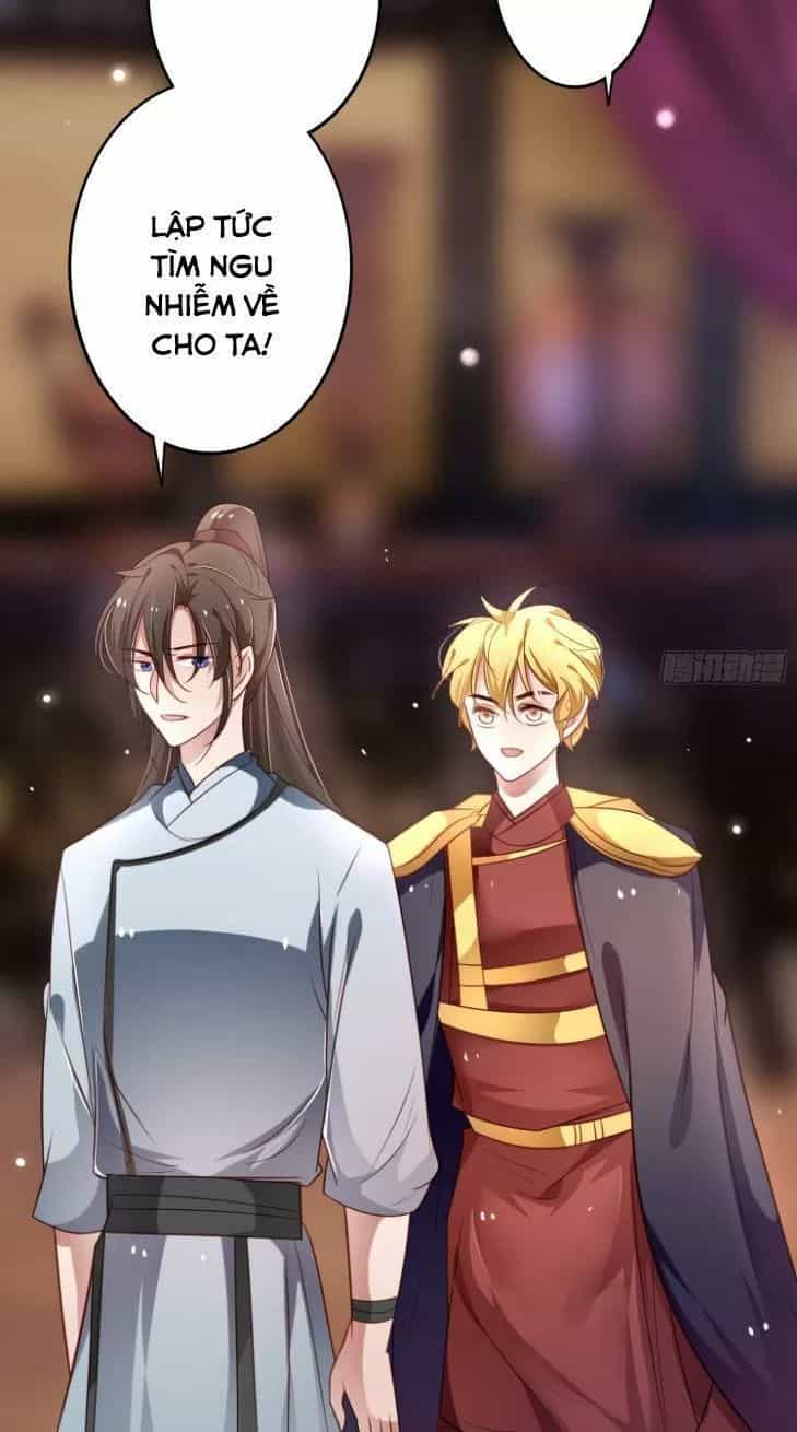 Trọng Sinh Đế Phi: Quyền Khuynh Thiên Hạ - Chương 20 - ảnh 11